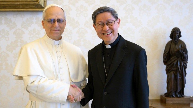 Pope-Leo-Criticizes-CEO-Pay-Disparities-and-Questions-UN's-Effectiveness-in-New-Interview