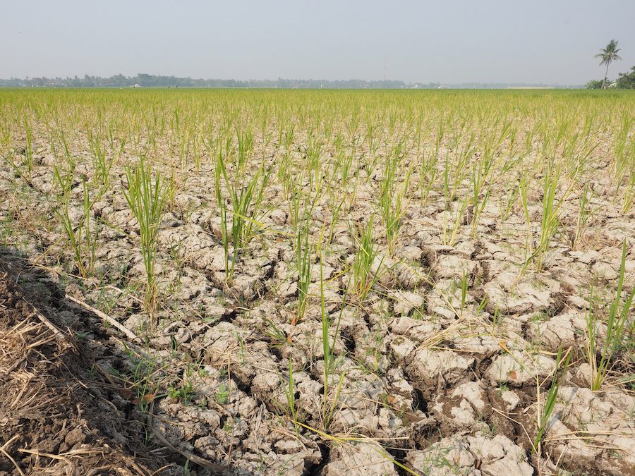 Maguindanao-del-Sur-Declares-State-of-Calamity-Due-to-Widespread-Flooding