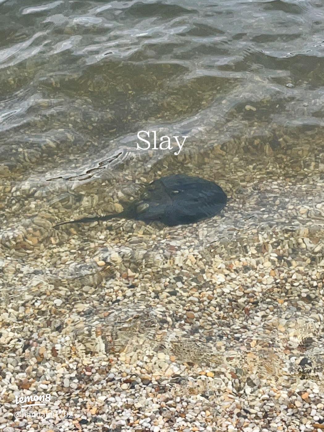 lotlot-de-leon-shares-handwritten-letter-from-late-nora-aunor-highlighting-her-beautiful-penmanship